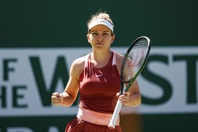 生物降解材 生物降解材