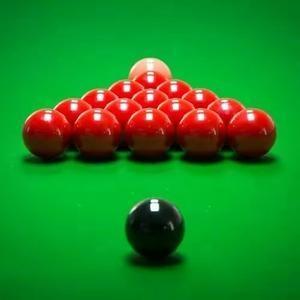 他們的去留 他們的去留