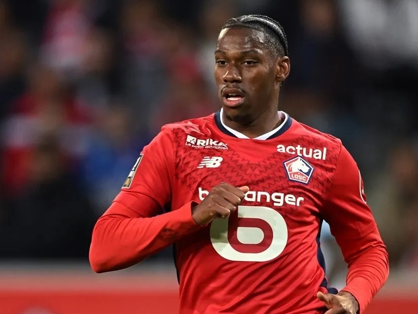 家队回来 家队回来